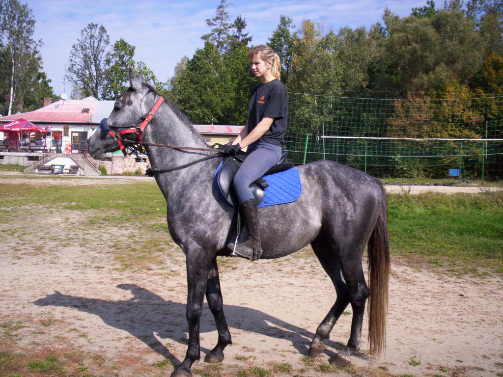 Snímek 042.jpg