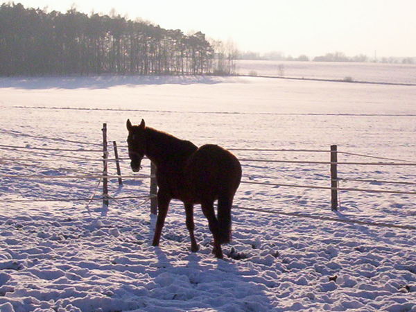 100_3510.jpg