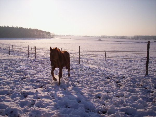 100_3512.jpg