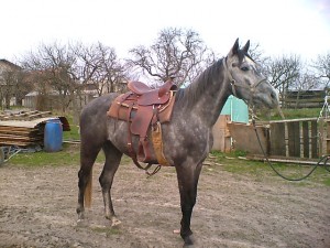 Obrazek